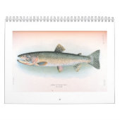 Viskalender, vers en zout kalender (Hoes)