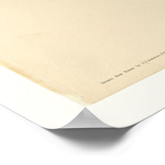 Viskool Poster (Hoek)