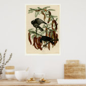 Viskool Poster (Keuken)