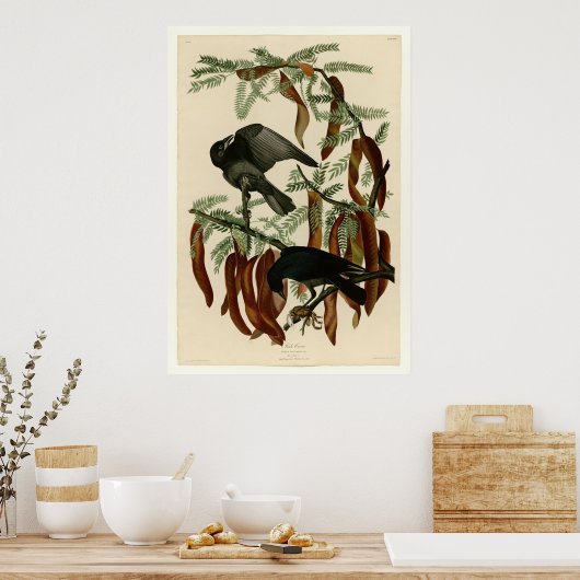 Viskool Poster (Keuken)