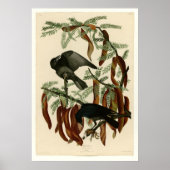 Viskool Poster (Voorkant)