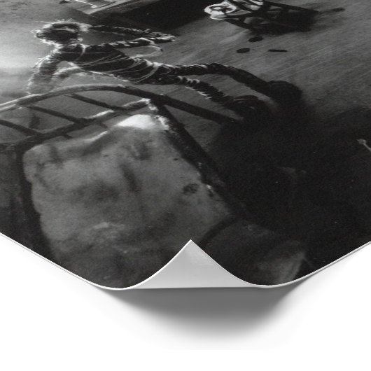 viskop poster (Hoek)