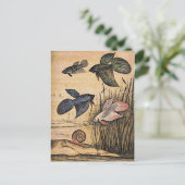 Viskunst Briefkaart (Staand voorkant)