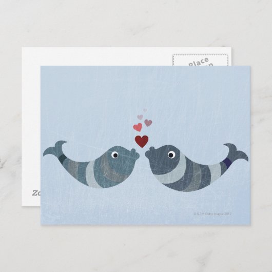 Viskus Briefkaart (Voorkant / Achterkant)