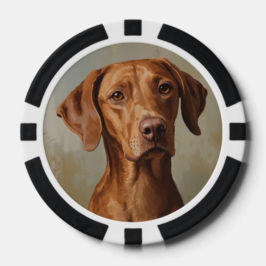 Visla Poker Chips (Voorkant)