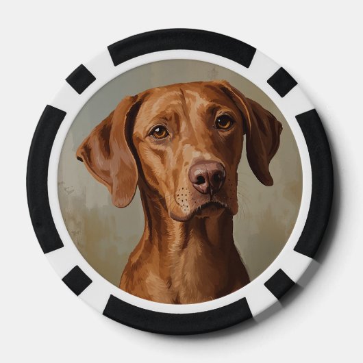 Visla Poker Chips (Achterkant)