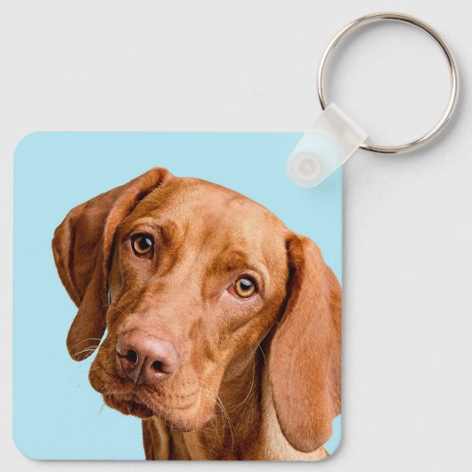 Visla Sleutelhanger (Achterkant)