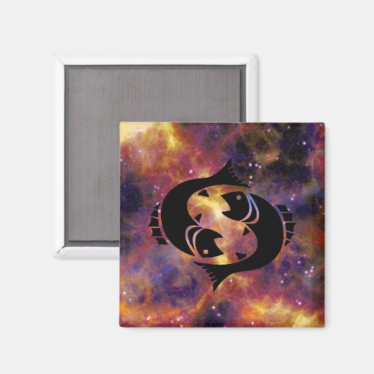 vismagnet magneet (Voorkant / Achterkant)