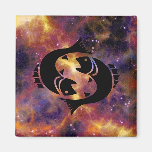 vismagnet magneet (Voorkant)