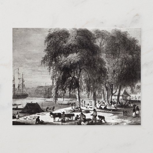 Vismarkt, Paramribo Briefkaart (Voorkant)