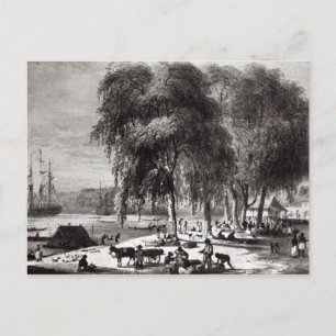 Vismarkt, Paramribo Briefkaart