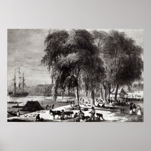 Vismarkt, Paramribo Poster