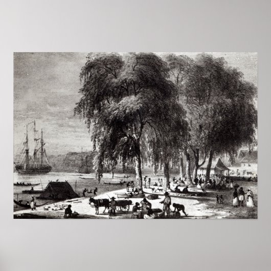 Vismarkt, Paramribo Poster (Voorkant)