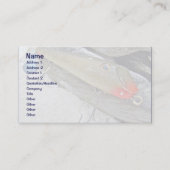  vismeester Jerry Sylvester Flaptail Lure Visitekaartje (Voorkant)