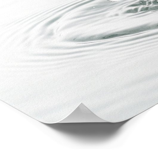 Visnetgrafiek Poster (Hoek)