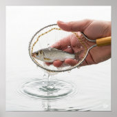 Visnetgrafiek Poster (Voorkant)