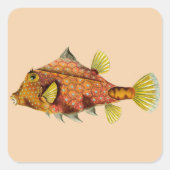 visomloop past me stickers aan (Voorkant)