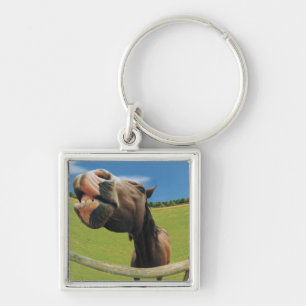 Visoog Uitzicht van paarden Sleutelhanger
