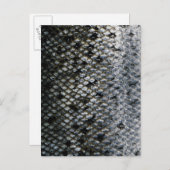 Visschalen Briefkaart (Voorkant / Achterkant)