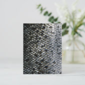 Visschalen Briefkaart (Staand voorkant)