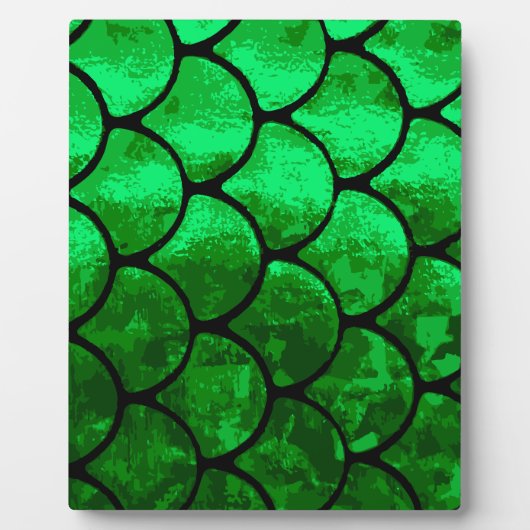 visschalen fotoplaat (Voorkant)