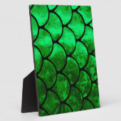 visschalen fotoplaat (Zijkant)