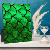 visschalen fotoplaat (Zijkant)