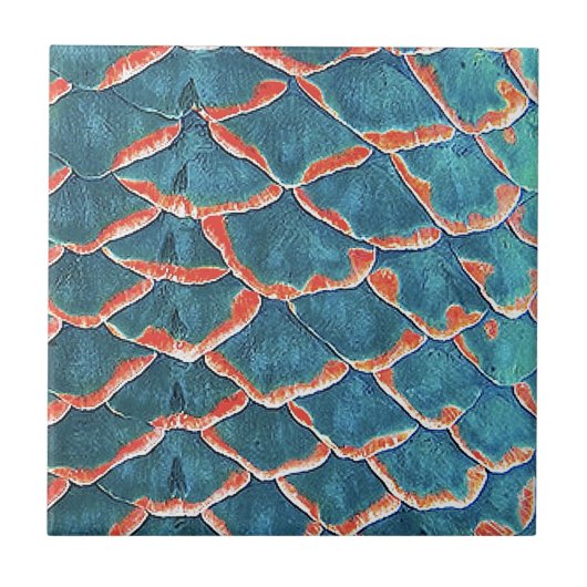 Visschalen Tegeltje (Voorkant)