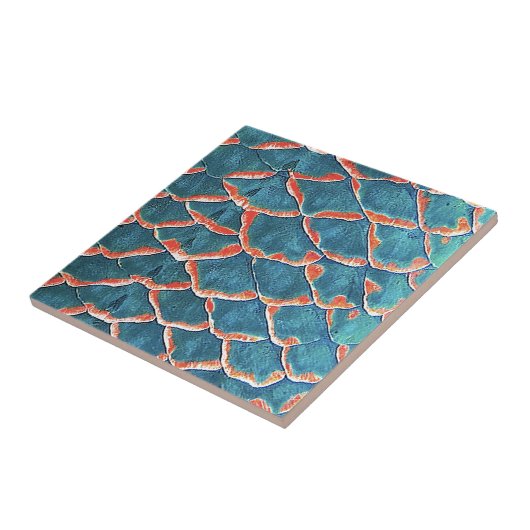 Visschalen Tegeltje (Zijkant)