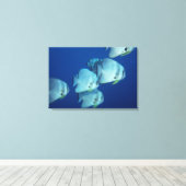 Visschool Canvas Afdruk (Insitu (Houten vloer))