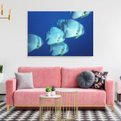 Visschool Canvas Afdruk (Insitu (Woonkamer))