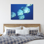 Visschool Canvas Afdruk (Insitu (Slaapkamer))