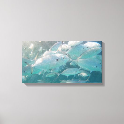 VISSCHOOL OP CANVAS 20 "x 16" Afdruk (Voorkant)