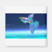 vissen-2358741_1920 magneet (Voorkant)