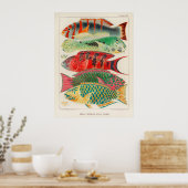 Vissen 2 poster (Keuken)