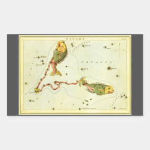 Vissen, Antieke Sterrenbeeld Urania's Spiegel Rechthoekige Sticker