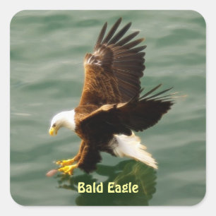 Vissen Bald Eagle Motivatie Sticker Set