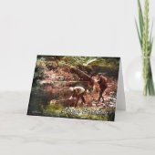 Vissen-BD Kaart (Voorkant)