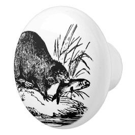  vissen Beaver home decor knop