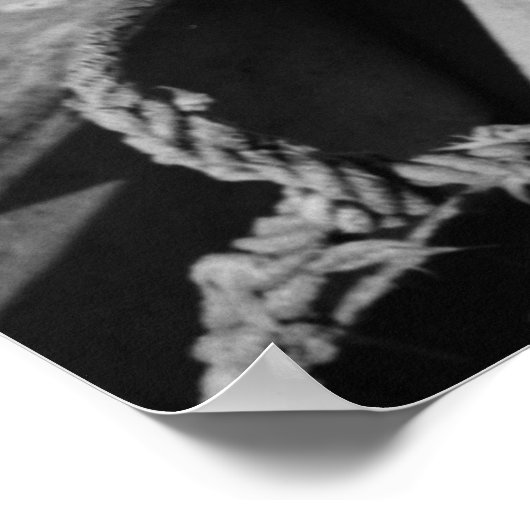 Vissen bootkok - Kerstmis 1938 Poster (Hoek)