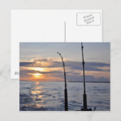 Vissen! Briefkaart (Voorkant / Achterkant)