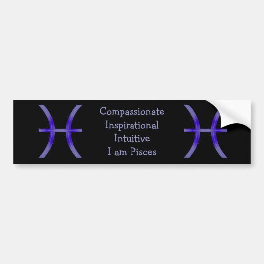 Vissen Bumpersticker (Voorkant)