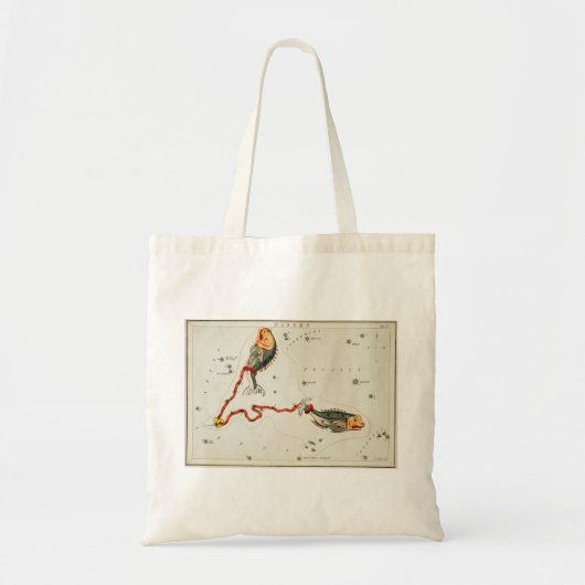 Vissen canvas tas (Voorkant)