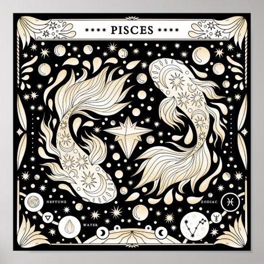 Vissen: De droomwevende sterrenzweefster Poster (Voorkant)