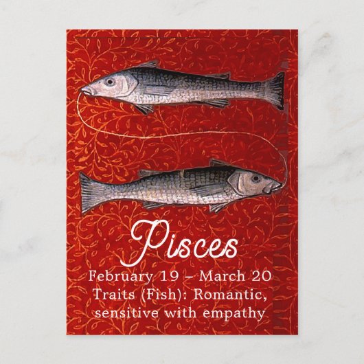 Vissen de Vis Sterrenbeeld Verjaardagsfeestje Briefkaart (Voorkant)