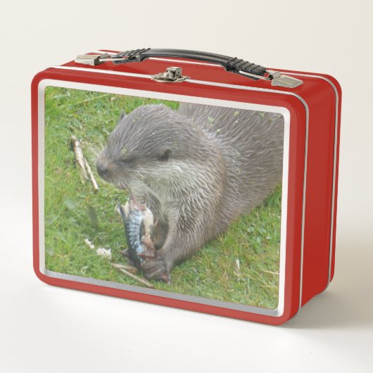 Vissen die Europese otterbox eten (Voorkant)