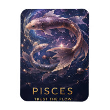 Vissen Dierenriem Vis Hemels Astrologie Symbool