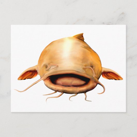 Vissen glimlach briefkaart (Voorkant)