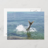 Vissen in het zee briefkaart (Voorkant / Achterkant)