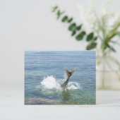 Vissen in het zee briefkaart (Staand voorkant)